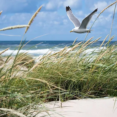 Σπίτι διακοπών In With Stunning Sea Views Knokke-Heist